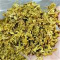 安祁名药中药材石斛花 鼓槌花