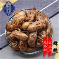 蟬蛻 蟬蛻選貨 產(chǎn)地 四川省
