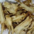 當歸 0.4個篩 當歸好一棵樹 產(chǎn)地 甘肅省