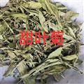 甜葉菊 產(chǎn)地直銷甜葉菊顏色青好統(tǒng)貨 產(chǎn)地 黑龍江省