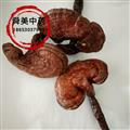 木靈芝 統(tǒng)貨 產(chǎn)地 吉林省