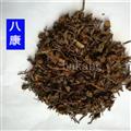 紫菀 密统