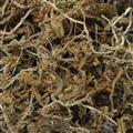 垂盆草 精品垂盆草統(tǒng)段 過篩無雜質(zhì) 產(chǎn)地 安徽省