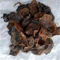 康源堂貓衣貓?zhí)ケP 生曬胎盤 貓衣無硫 貓?zhí)ヒ仑埌屡l(fā)各類冷背藥