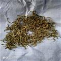 康源堂供應(yīng)甜瓜蒂 苦丁香甜瓜蒂 甜瓜蒂苦丁香
