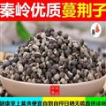 秦岭野生优质蔓荆子  新货日晒无硫1000g