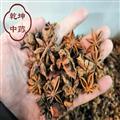 八角茴香 廣西八角茴香   選貨  含量高 產(chǎn)地 廣西壯族自治區(qū)【品種齊全 誠(chéng)信經(jīng)營(yíng)】