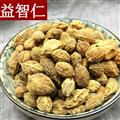 中藥材益智仁 益智仁 