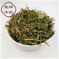 紫花地丁 统货 产地 山西省【品种齐全 诚信经营】