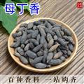 母丁香精選雞舌香雌丁香調(diào)料香料溫中散寒