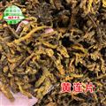 黃連 黃連片 產(chǎn)地 四川省 買(mǎi)好藥找娟子
