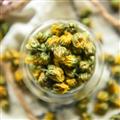 胎菊 花茶 滋补养生 甘菊 小白菊 小汤黄 花草茶散装
