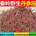 秦岭优质紫花丹参条 丹参个子 山民自刨 手工挑选 日晒无硫500g