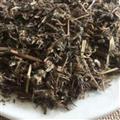 老鹳草 选货质量好价格低  产地 河南省