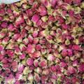 玫瑰花 一级玫瑰王 产地 山东省