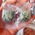 絞股藍(lán) 絞股藍(lán)茶 絞股藍(lán)球 龍珠絞股藍(lán)