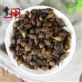 【包邮】连翘 未熏统货 河南产 青翘 干净 枝叶少 筛灰除沫【非嫩连翘 水煮货 良心经营 】