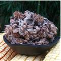 蘭香草 秦嶺野生澤蘭 水鄉(xiāng)草 佩蘭 手切大段 日曬 無硫 500g