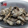 【包邮】虻虫（500g） 四川产 大个货不是陕西产的牛虻虫【良心经营 品种齐全】