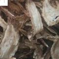 精品无硫大片当归片 全归大一棵树 过筛无粉末