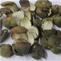 四花青皮 四花青皮綠色選個 產(chǎn)地 江西省 產(chǎn)地直銷 重在質(zhì)量