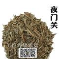恒?？翟刺靡龟P(guān)門 望江南   鐵掃帚統(tǒng)貨 產(chǎn)地 貴州省畢節(jié)市