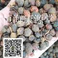 恒海康源堂樟木子 樟树籽 大果木江籽 统 产地 江西省