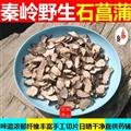 【精選大片】秦嶺野生石菖蒲新貨日曬無硫味濃500g