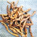九節(jié)菖蒲 九節(jié)菖蒲凈貨 產(chǎn)地 陜西省秦嶺山區(qū)