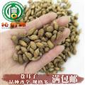 【滿包郵】蒼耳子統(tǒng)貨散裝產(chǎn)地直供毛蒼子沁信源中藥批發(fā)