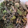 诺源药材行中药材 寄生 桑寄生 广寄生 