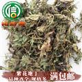 【满包邮】紫花地丁统货散装甜地丁产地直供地丁草沁信源中药批发