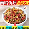 秦嶺野生合歡花泡茶無硫500g