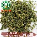 【满包邮】赶黄草花选货散装四川古蔺产地直供沁信源中药批发
