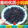 【新货无盐日晒】 秦岭天然蚂蟥干 小水蛭干 手挑日晒无硫50g