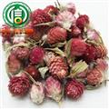 【滿包郵】千日紅干花茶統(tǒng)貨散裝西藏產(chǎn)地直供百日紅，火球花沁信源中藥批發(fā)