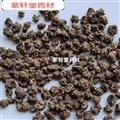 猫爪草 猫爪草水洗干净 统货 产地 河南省  