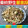 瞿麦 秦岭优质巨麦段 手工采割 铡段 日晒 干净500g
