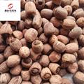红莲子 带芯红莲子 新货 产地 湖南省 无虫蛀 无霉变