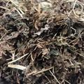新輝藥業(yè)正品海金沙草