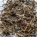 諾源藥材行中藥材勝紅薊  勝紅薊草  白花臭草 重陽(yáng)草