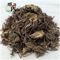 【满包邮】紫菀 广紫菀 统 优选品质 产地直供 邓氏中药批发