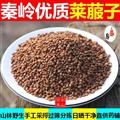 秦嶺山區(qū)道地萊菔子 正品白蘿卜子 炒萊菔子 新貨精選