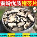 秦嶺山區(qū)道地豬苓 新貨日曬干凈無硫250g