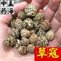 草豆蔻 选装 草寇 草蔻 草扣 过筛货 无碎籽 产地直销 产地 广西壮族自治区 草寇