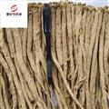 黨參 無硫黨參個(gè)子 質(zhì)量好價(jià)格低  產(chǎn)地甘肅省  
