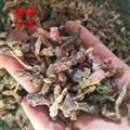 款冬花 款冬花统货 产地 甘肃省