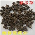 猫爪草 纯种猫爪草 小毛茛 猫抓草 产地河南 德誉堂药业批发各种中药材