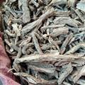 京辉药业 地骨皮 正品 抽心率高 过检