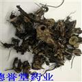 德誉堂药业 升麻 统 升麻 批发各种中药材